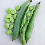 Broad Bean: Masterpiece Green Longpod