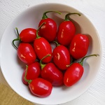 Chilli Pepper: Rocoto Scallywag