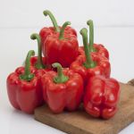Sweet Pepper: Mauricio F1