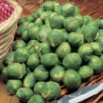 Brussels Sprouts: Bosworth F1