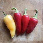 Chilli Pepper: Caloro