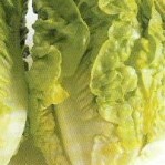 Lettuce: Little Gem