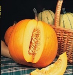 Pumpkin: Jack O'Lantern