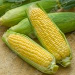 Sweetcorn: Mirai Picnic F1