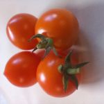 Tomato: SolitoF1 seeds